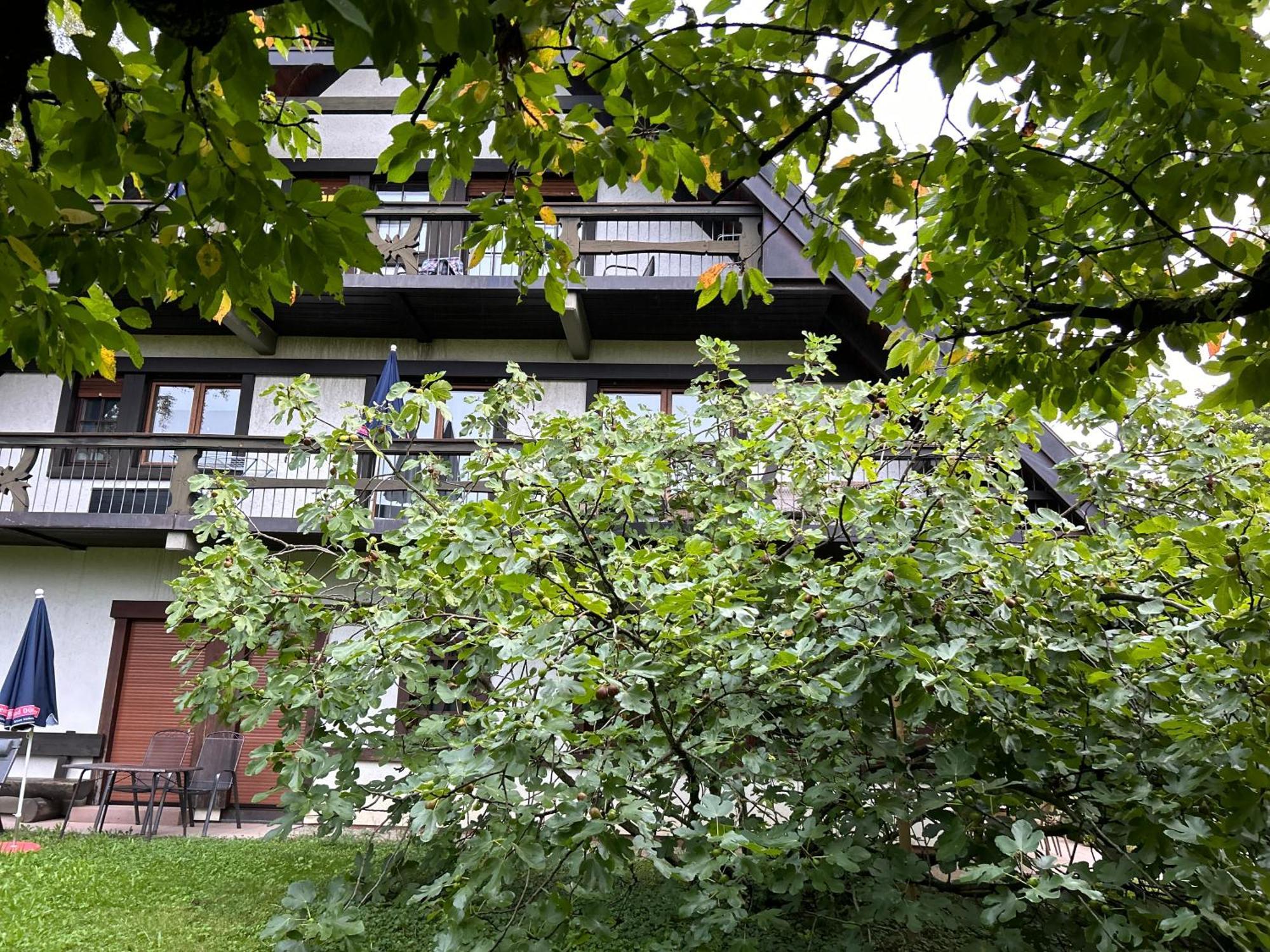Gaestehaus Obsthof Gottenheim Экстерьер фото