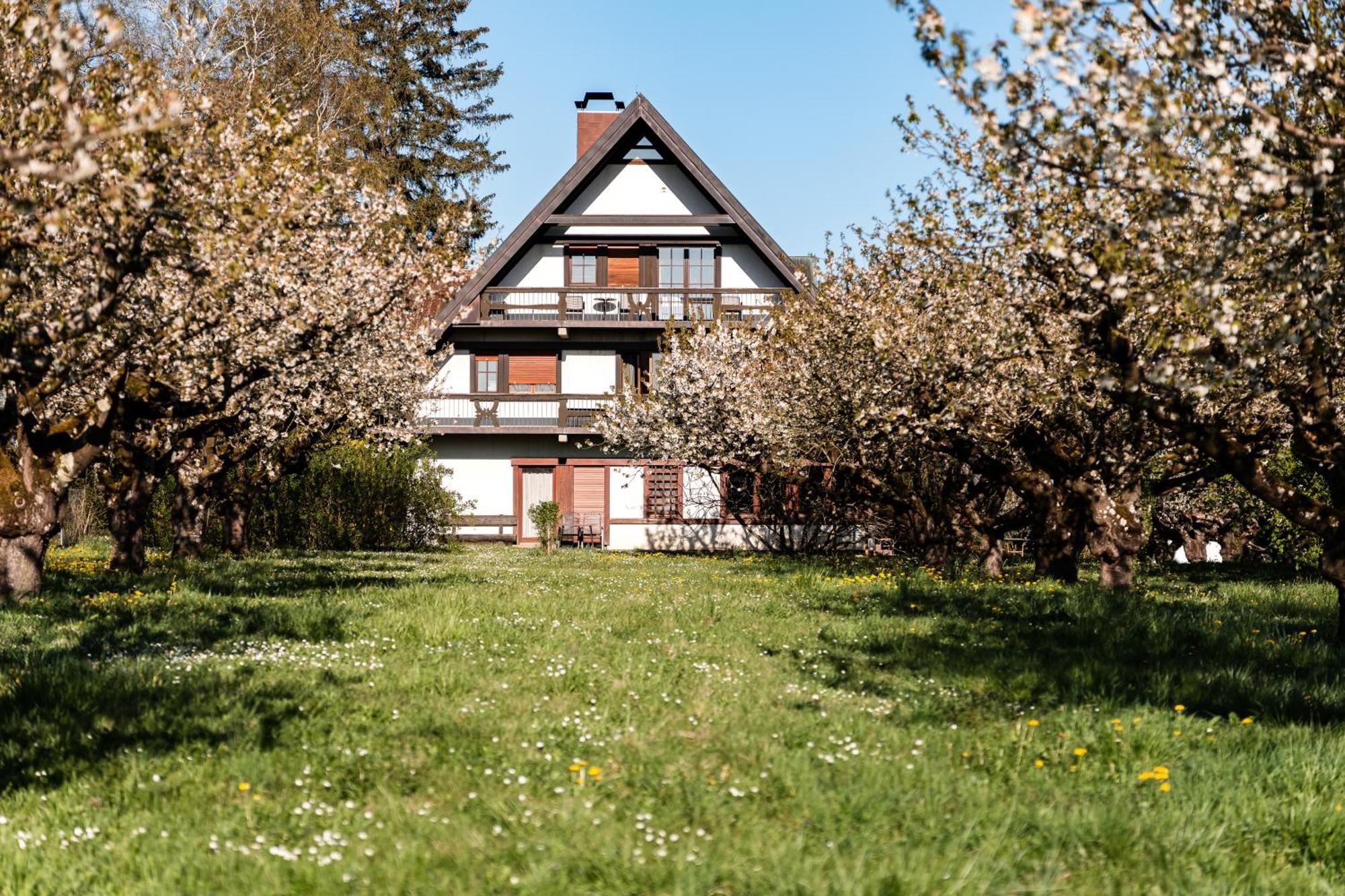 Gaestehaus Obsthof Gottenheim Экстерьер фото