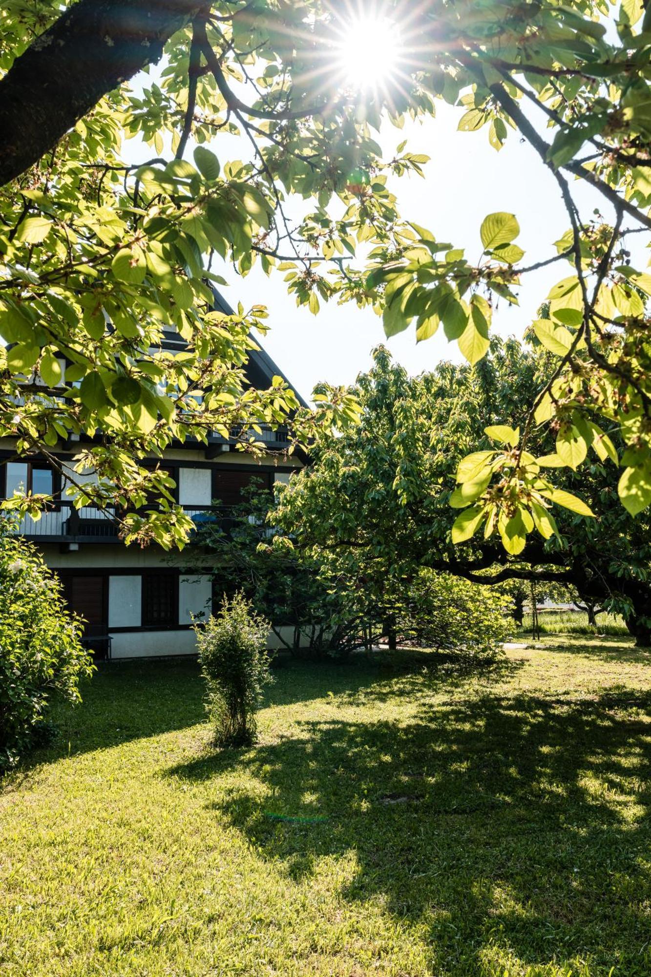 Gaestehaus Obsthof Gottenheim Экстерьер фото